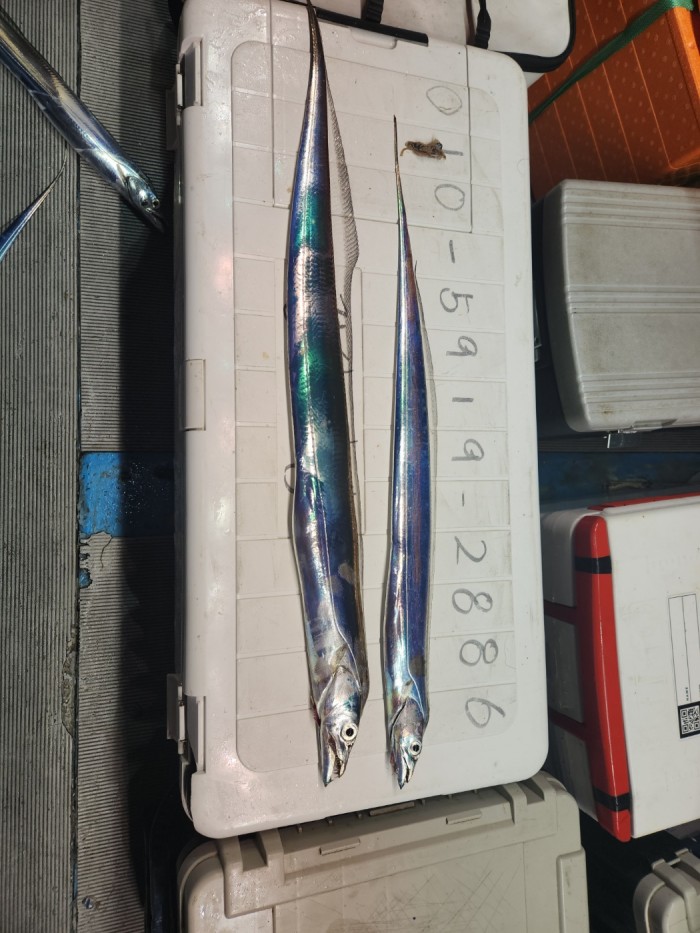 0f1819991e6972e48e218ffc2448b152_1692923598_0904.jpg 0f1819991e6972e48e218ffc2448b152_1692923598_0904.jpg