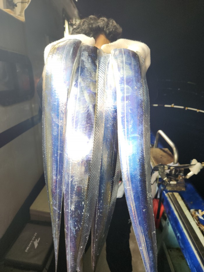 0f1819991e6972e48e218ffc2448b152_1692923599_1174.jpg 0f1819991e6972e48e218ffc2448b152_1692923599_1174.jpg