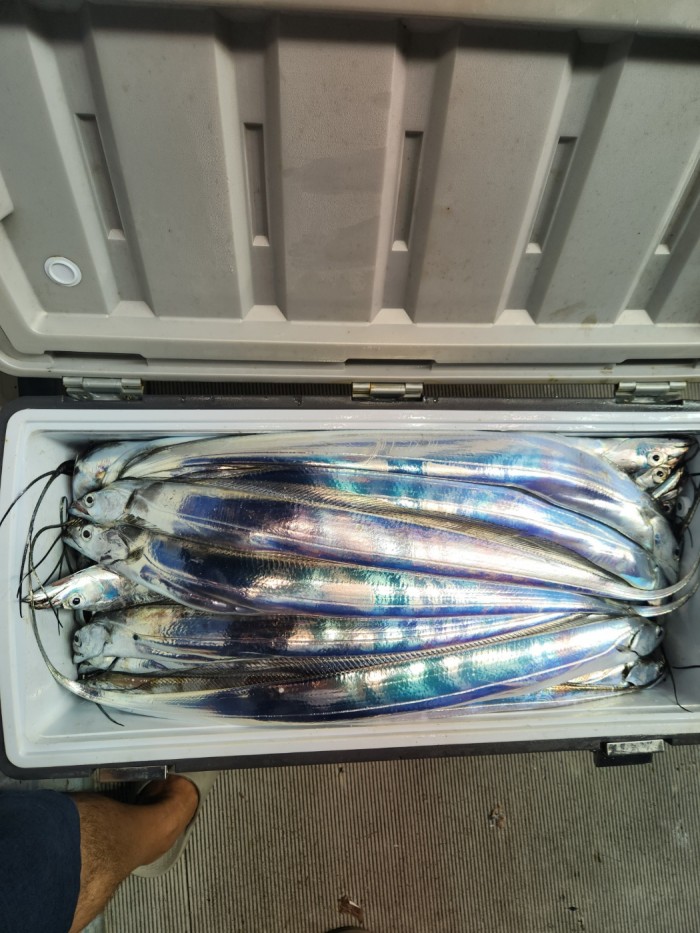 0f1819991e6972e48e218ffc2448b152_1692923601_3193.jpg 0f1819991e6972e48e218ffc2448b152_1692923601_3193.jpg