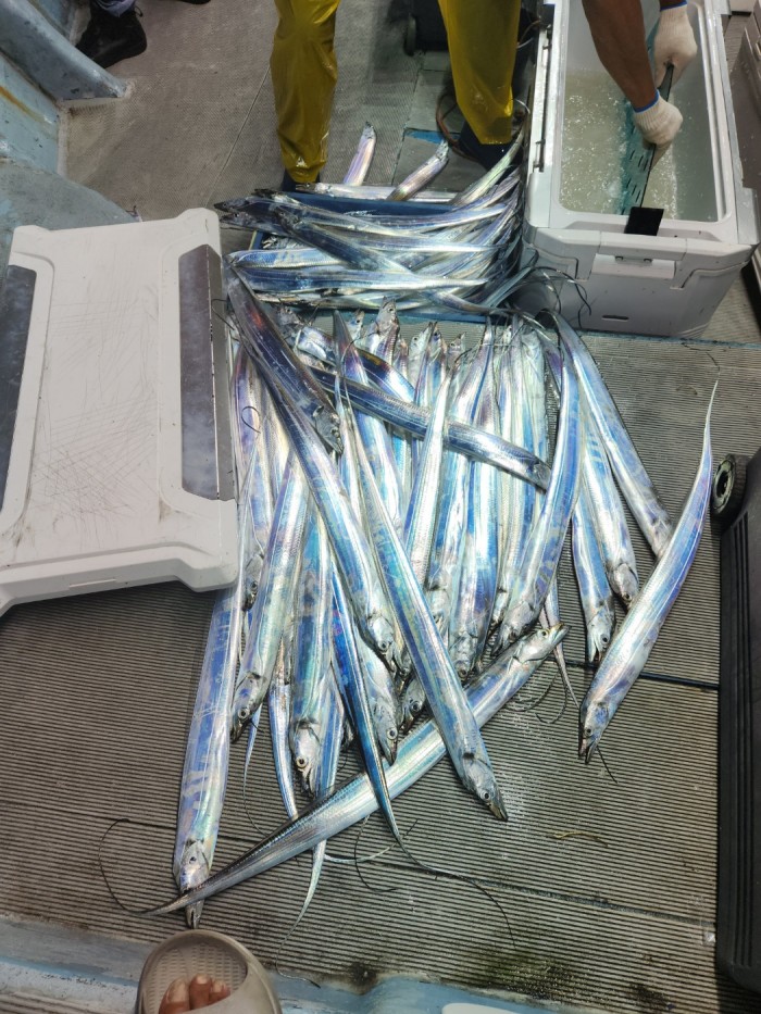 0f1819991e6972e48e218ffc2448b152_1692923601_6209.jpg 0f1819991e6972e48e218ffc2448b152_1692923601_6209.jpg