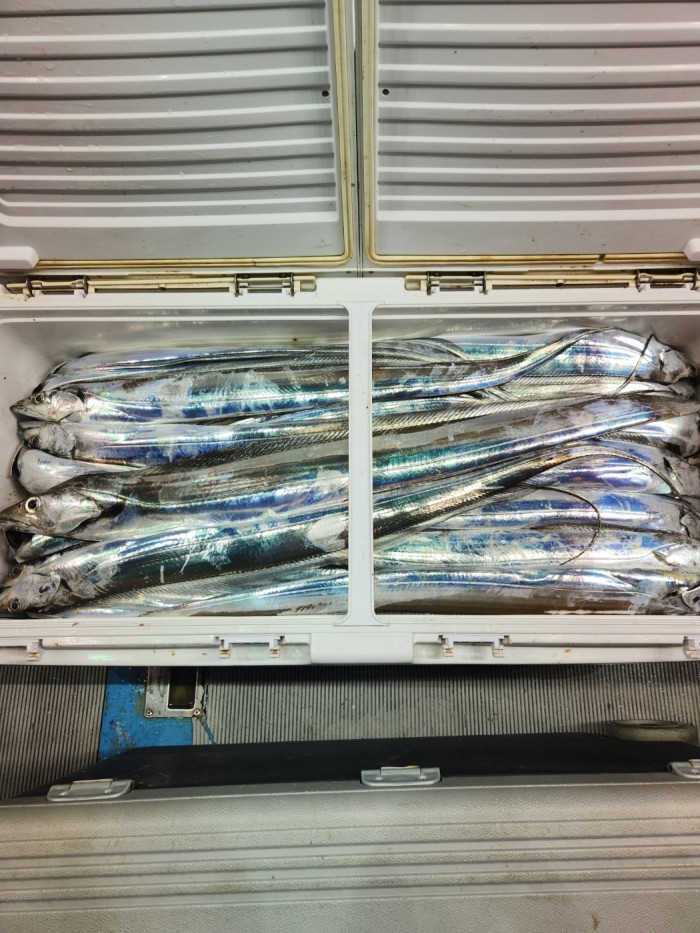 0f1819991e6972e48e218ffc2448b152_1692923601_9161.jpg 0f1819991e6972e48e218ffc2448b152_1692923601_9161.jpg