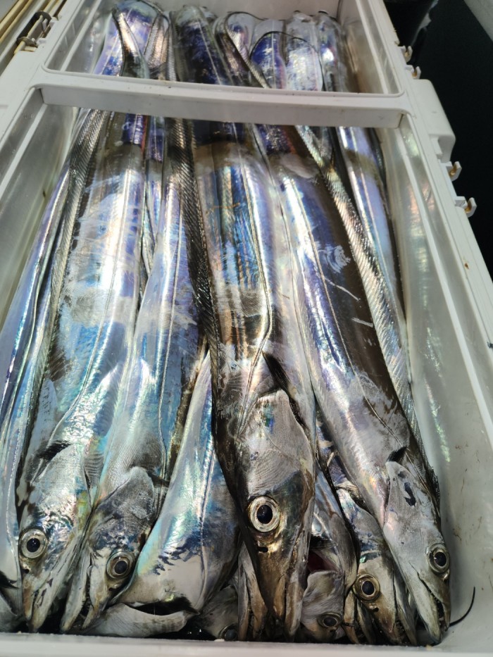 0f1819991e6972e48e218ffc2448b152_1692923602_2101.jpg 0f1819991e6972e48e218ffc2448b152_1692923602_2101.jpg