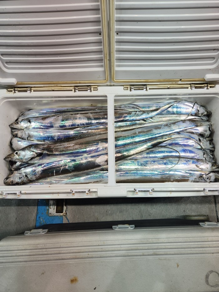 0f1819991e6972e48e218ffc2448b152_1692923602_5128.jpg 0f1819991e6972e48e218ffc2448b152_1692923602_5128.jpg