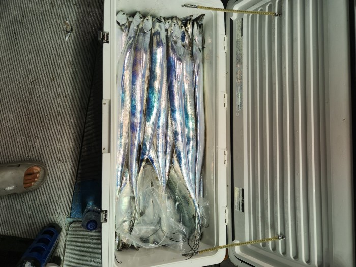 0f1819991e6972e48e218ffc2448b152_1692923602_9251.jpg 0f1819991e6972e48e218ffc2448b152_1692923602_9251.jpg