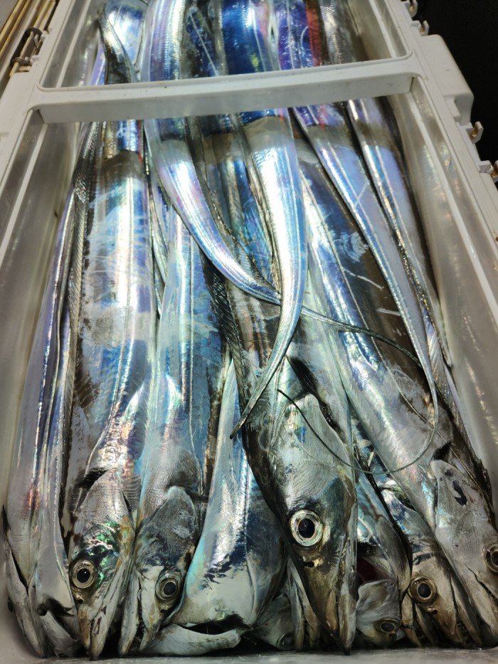 0f1819991e6972e48e218ffc2448b152_1692923603_6644.jpg 0f1819991e6972e48e218ffc2448b152_1692923603_6644.jpg