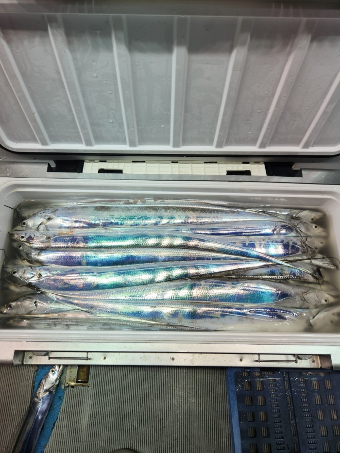 0f1819991e6972e48e218ffc2448b152_1692923603_9584.jpg 0f1819991e6972e48e218ffc2448b152_1692923603_9584.jpg