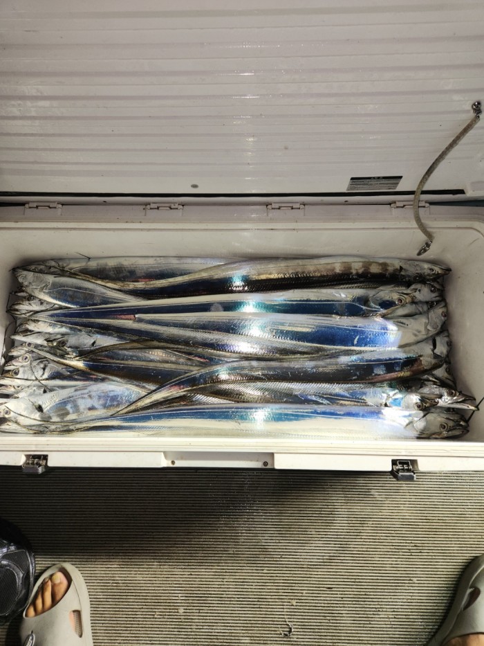 0f1819991e6972e48e218ffc2448b152_1692923604_4714.jpg 0f1819991e6972e48e218ffc2448b152_1692923604_4714.jpg