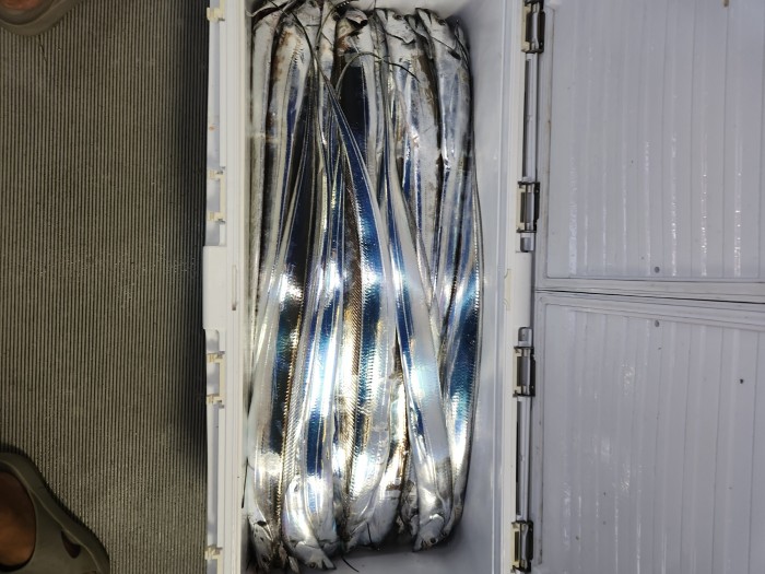 0f1819991e6972e48e218ffc2448b152_1692923604_7489.jpg 0f1819991e6972e48e218ffc2448b152_1692923604_7489.jpg