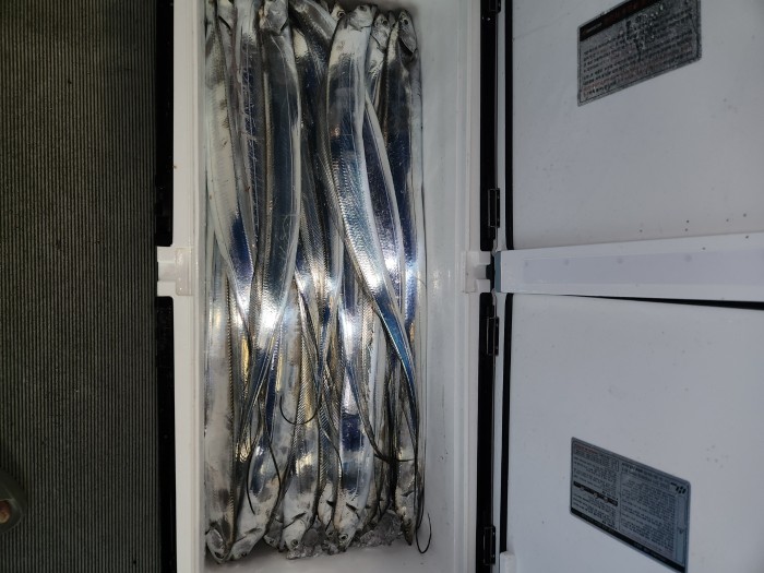 0f1819991e6972e48e218ffc2448b152_1692923604_9611.jpg 0f1819991e6972e48e218ffc2448b152_1692923604_9611.jpg