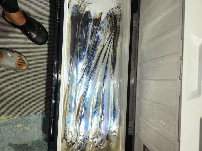 0f1819991e6972e48e218ffc2448b152_1692923605_3896.jpg 0f1819991e6972e48e218ffc2448b152_1692923605_3896.jpg