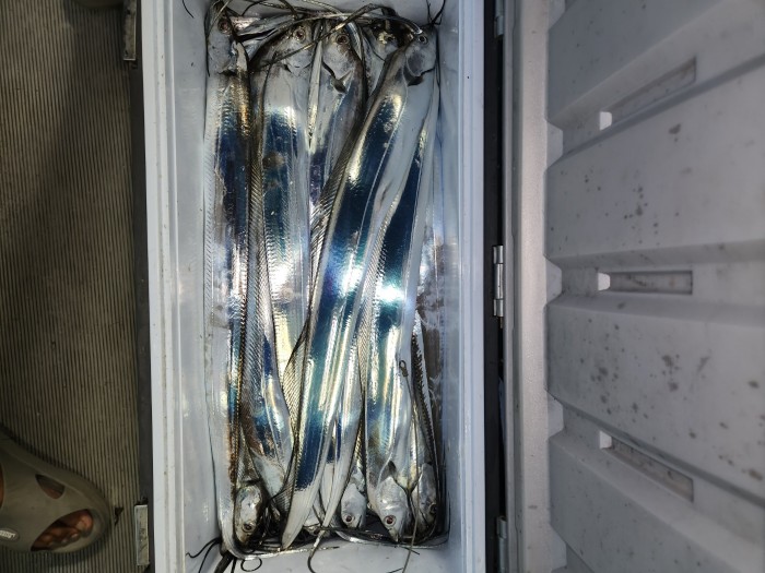 0f1819991e6972e48e218ffc2448b152_1692923605_8359.jpg 0f1819991e6972e48e218ffc2448b152_1692923605_8359.jpg