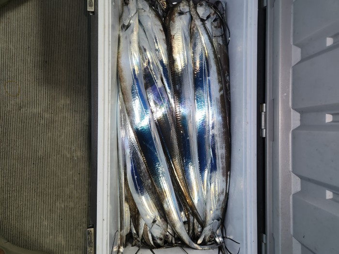 0f1819991e6972e48e218ffc2448b152_1692923606_0534.jpg 0f1819991e6972e48e218ffc2448b152_1692923606_0534.jpg