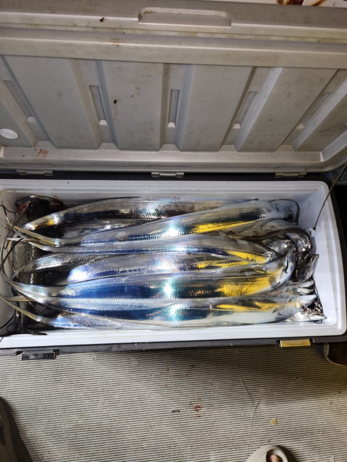 0f1819991e6972e48e218ffc2448b152_1692923606_2783.jpg 0f1819991e6972e48e218ffc2448b152_1692923606_2783.jpg