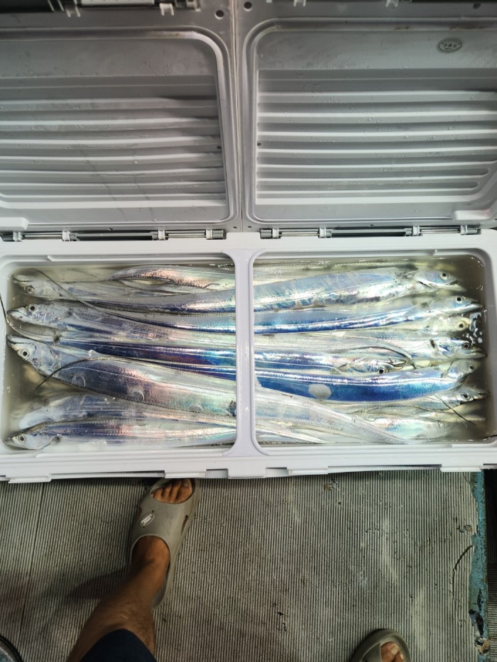 0f1819991e6972e48e218ffc2448b152_1692923606_5646.jpg 0f1819991e6972e48e218ffc2448b152_1692923606_5646.jpg