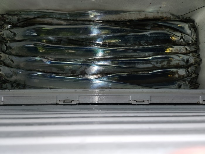 627c73a9b4b62244568716fe33d9c070_1692061132_3591.jpg 627c73a9b4b62244568716fe33d9c070_1692061132_3591.jpg