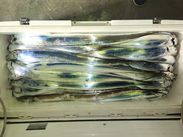 627c73a9b4b62244568716fe33d9c070_1692061142_4628.jpg 627c73a9b4b62244568716fe33d9c070_1692061142_4628.jpg