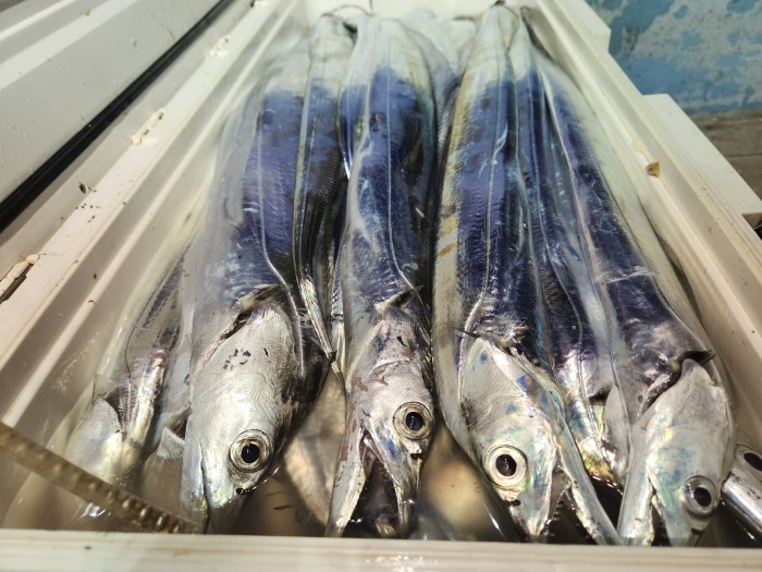 46fe4de9350ad19fee1f9e31e13d8491_1700097160_9133.jpg 46fe4de9350ad19fee1f9e31e13d8491_1700097160_9133.jpg