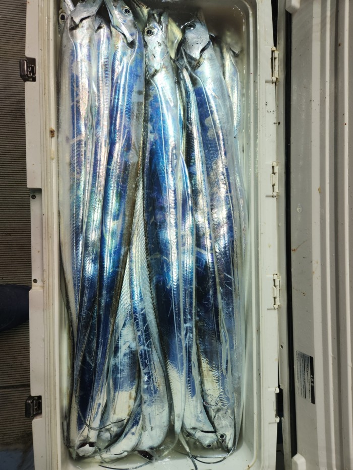 46fe4de9350ad19fee1f9e31e13d8491_1700097161_1501.jpg 46fe4de9350ad19fee1f9e31e13d8491_1700097161_1501.jpg