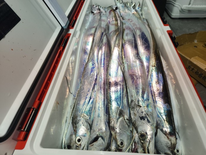 46fe4de9350ad19fee1f9e31e13d8491_1700097161_4356.jpg 46fe4de9350ad19fee1f9e31e13d8491_1700097161_4356.jpg