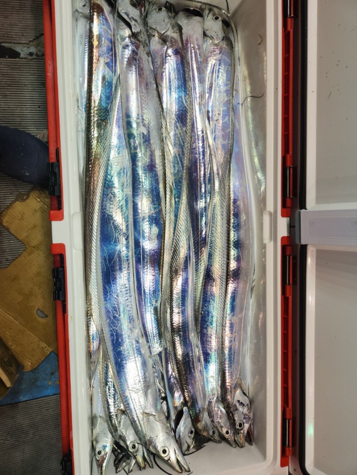 46fe4de9350ad19fee1f9e31e13d8491_1700097161_6631.jpg 46fe4de9350ad19fee1f9e31e13d8491_1700097161_6631.jpg