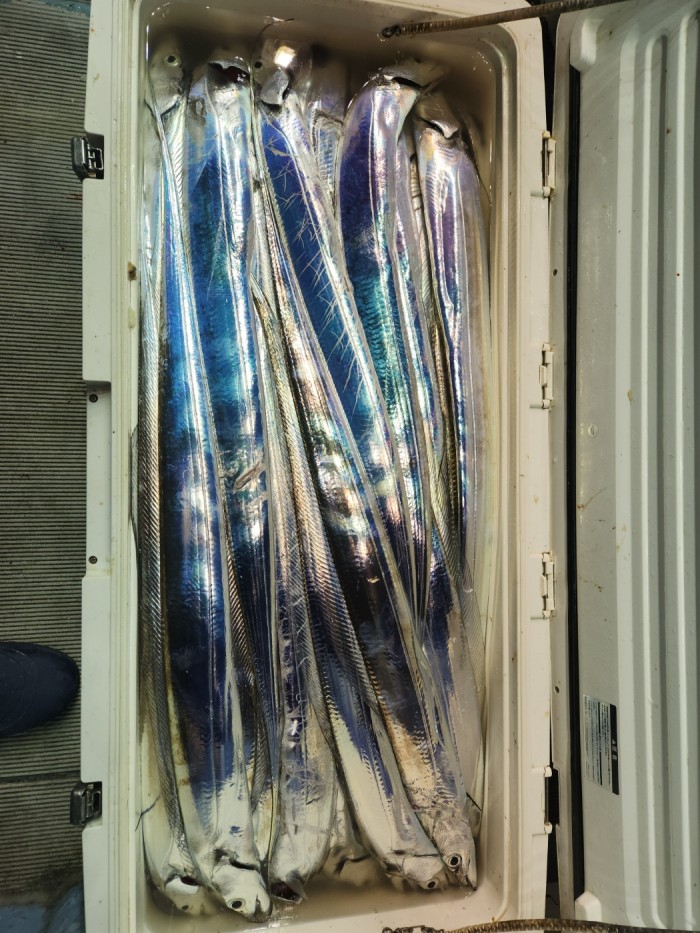 46fe4de9350ad19fee1f9e31e13d8491_1700097162_2373.jpg 46fe4de9350ad19fee1f9e31e13d8491_1700097162_2373.jpg