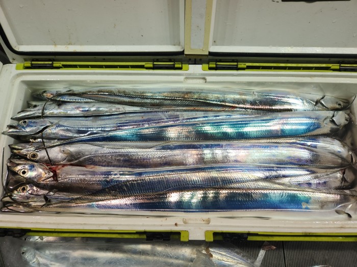 46fe4de9350ad19fee1f9e31e13d8491_1700097162_5277.jpg 46fe4de9350ad19fee1f9e31e13d8491_1700097162_5277.jpg