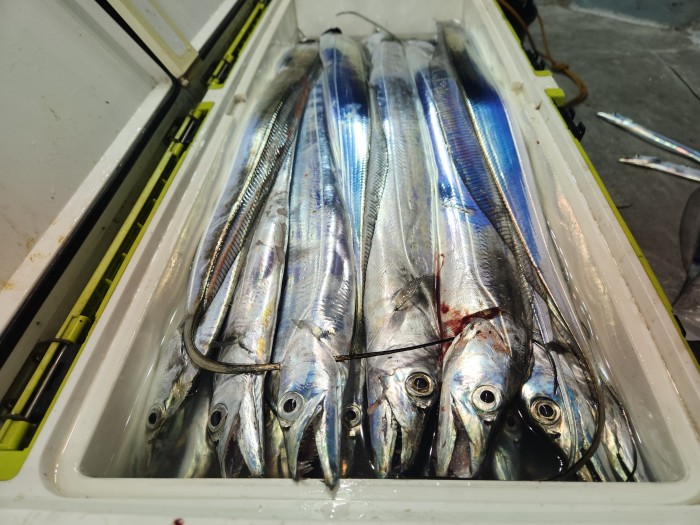 46fe4de9350ad19fee1f9e31e13d8491_1700097162_7431.jpg 46fe4de9350ad19fee1f9e31e13d8491_1700097162_7431.jpg