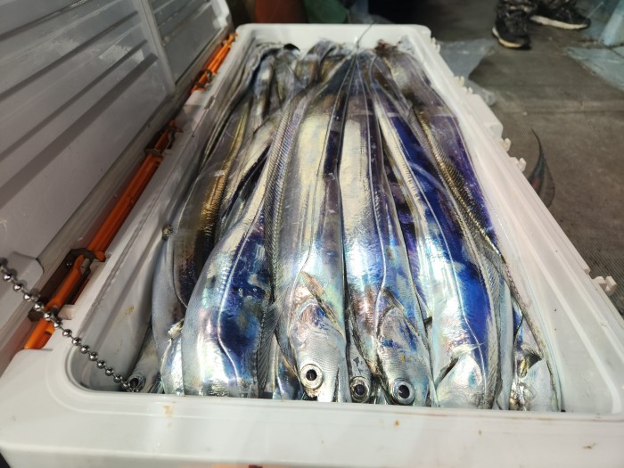 46fe4de9350ad19fee1f9e31e13d8491_1700097162_9587.jpg 46fe4de9350ad19fee1f9e31e13d8491_1700097162_9587.jpg