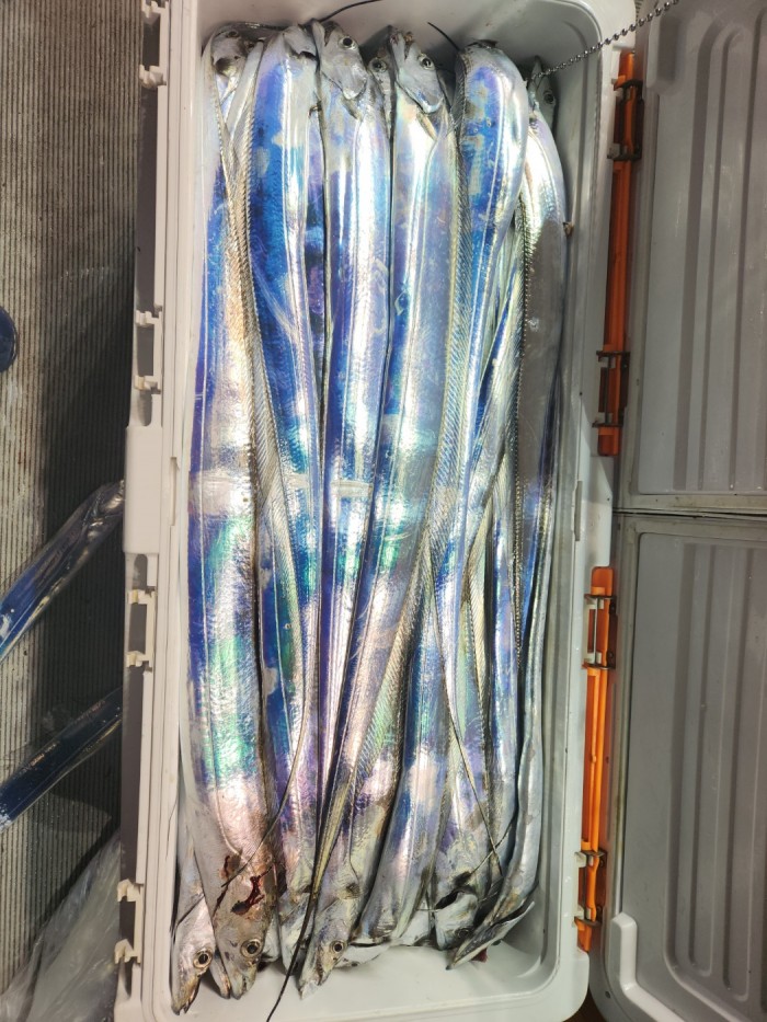 46fe4de9350ad19fee1f9e31e13d8491_1700097163_1896.jpg 46fe4de9350ad19fee1f9e31e13d8491_1700097163_1896.jpg