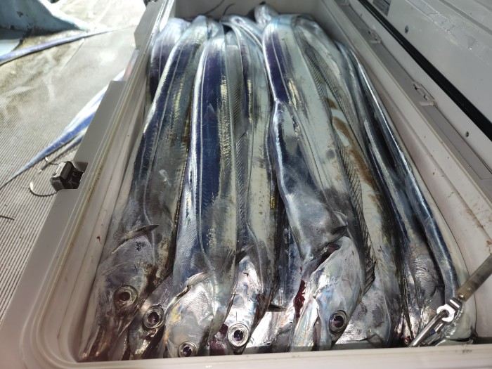 46fe4de9350ad19fee1f9e31e13d8491_1700097163_4836.jpg 46fe4de9350ad19fee1f9e31e13d8491_1700097163_4836.jpg