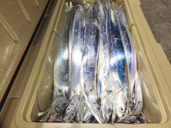 46fe4de9350ad19fee1f9e31e13d8491_1700097164_3454.jpg 46fe4de9350ad19fee1f9e31e13d8491_1700097164_3454.jpg