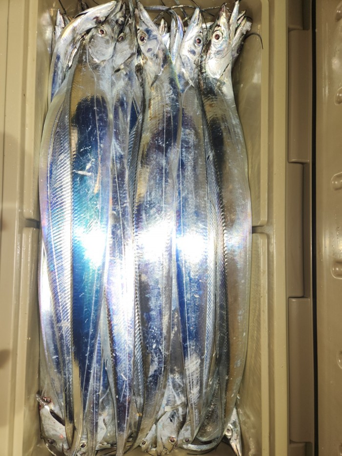 46fe4de9350ad19fee1f9e31e13d8491_1700097164_5767.jpg 46fe4de9350ad19fee1f9e31e13d8491_1700097164_5767.jpg