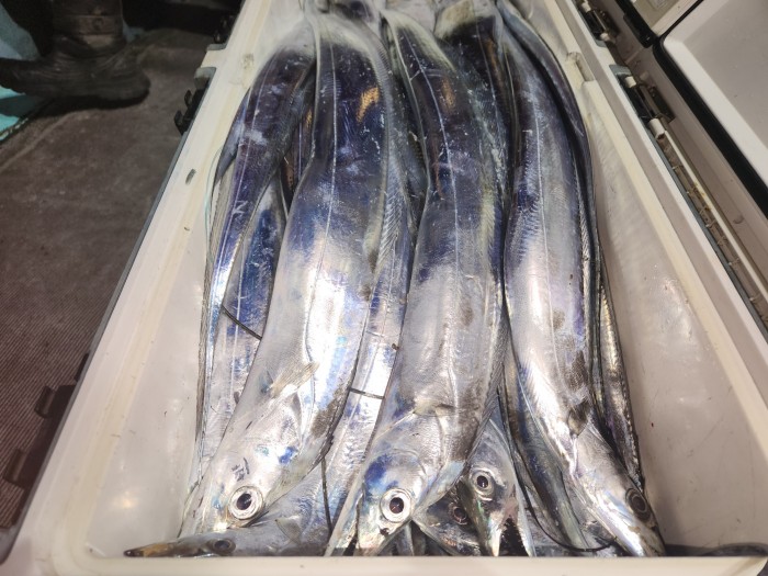 46fe4de9350ad19fee1f9e31e13d8491_1700097164_8581.jpg 46fe4de9350ad19fee1f9e31e13d8491_1700097164_8581.jpg