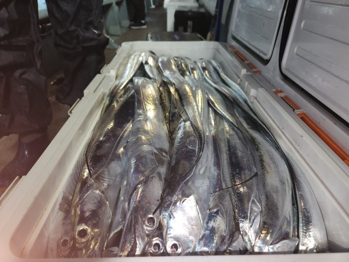 46fe4de9350ad19fee1f9e31e13d8491_1700097166_0545.jpg 46fe4de9350ad19fee1f9e31e13d8491_1700097166_0545.jpg