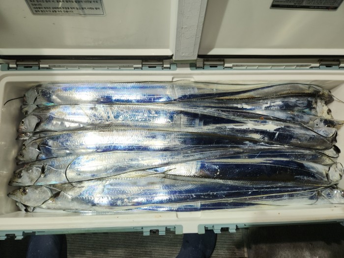 46fe4de9350ad19fee1f9e31e13d8491_1700097166_5541.jpg 46fe4de9350ad19fee1f9e31e13d8491_1700097166_5541.jpg