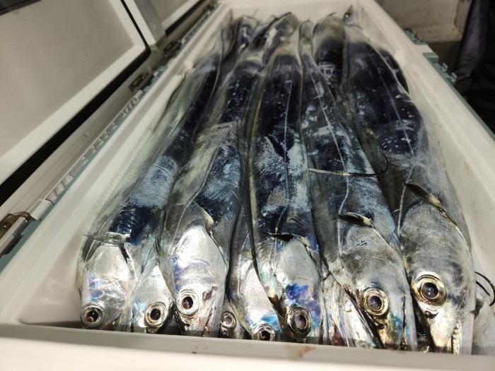 46fe4de9350ad19fee1f9e31e13d8491_1700097166_7637.jpg 46fe4de9350ad19fee1f9e31e13d8491_1700097166_7637.jpg