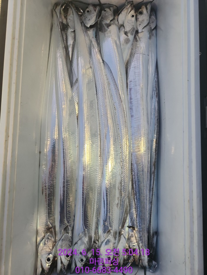 f81c1e0f655c1df1597657a5cffafae0_1718418085_0492.jpg f81c1e0f655c1df1597657a5cffafae0_1718418085_0492.jpg