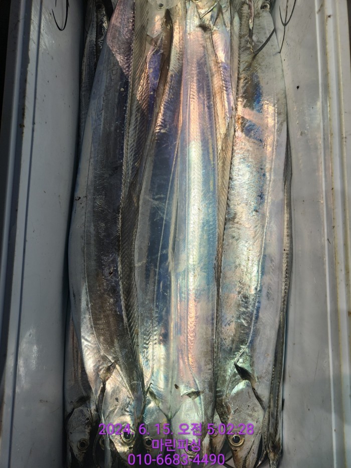 f81c1e0f655c1df1597657a5cffafae0_1718418086_1782.jpg f81c1e0f655c1df1597657a5cffafae0_1718418086_1782.jpg