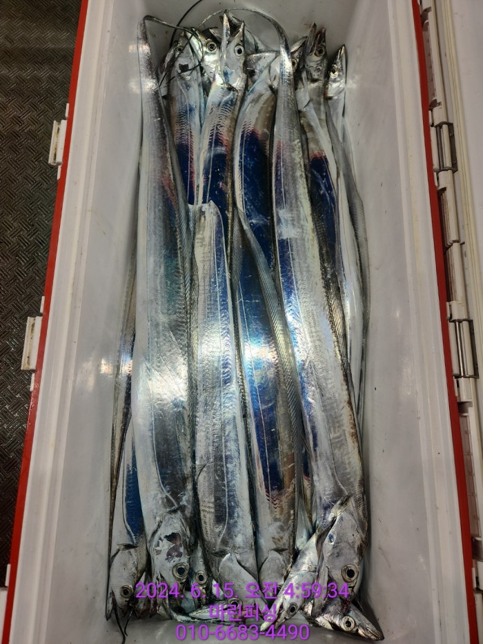 f81c1e0f655c1df1597657a5cffafae0_1718418087_8692.jpg f81c1e0f655c1df1597657a5cffafae0_1718418087_8692.jpg