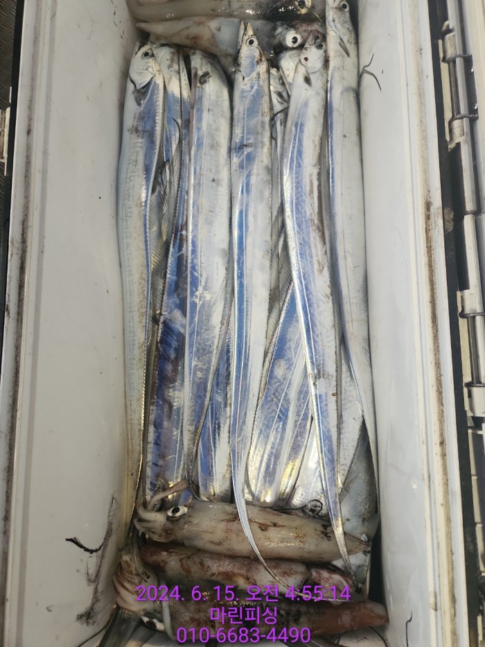 f81c1e0f655c1df1597657a5cffafae0_1718418089_9353.jpg f81c1e0f655c1df1597657a5cffafae0_1718418089_9353.jpg