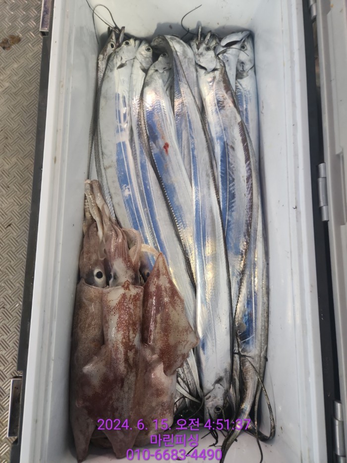 f81c1e0f655c1df1597657a5cffafae0_1718418090_9144.jpg f81c1e0f655c1df1597657a5cffafae0_1718418090_9144.jpg