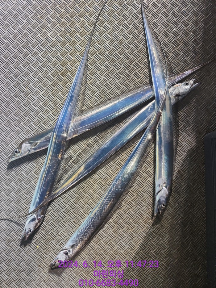 f81c1e0f655c1df1597657a5cffafae0_1718418095_9366.jpg f81c1e0f655c1df1597657a5cffafae0_1718418095_9366.jpg