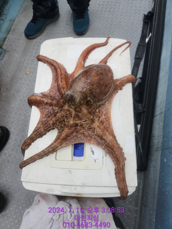 0881745f5e360e42172b3bf925a3f36f_1721033061_3919.jpg 0881745f5e360e42172b3bf925a3f36f_1721033061_3919.jpg