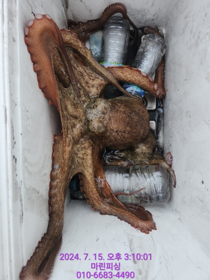 0881745f5e360e42172b3bf925a3f36f_1721033067_77.jpg 0881745f5e360e42172b3bf925a3f36f_1721033067_77.jpg