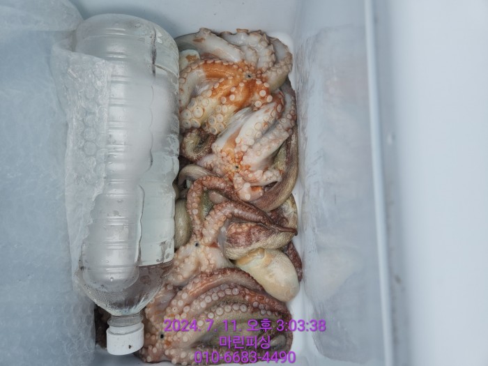 1ca33732383a78c7836445990ab345a4_1720685479_1014.jpg 1ca33732383a78c7836445990ab345a4_1720685479_1014.jpg