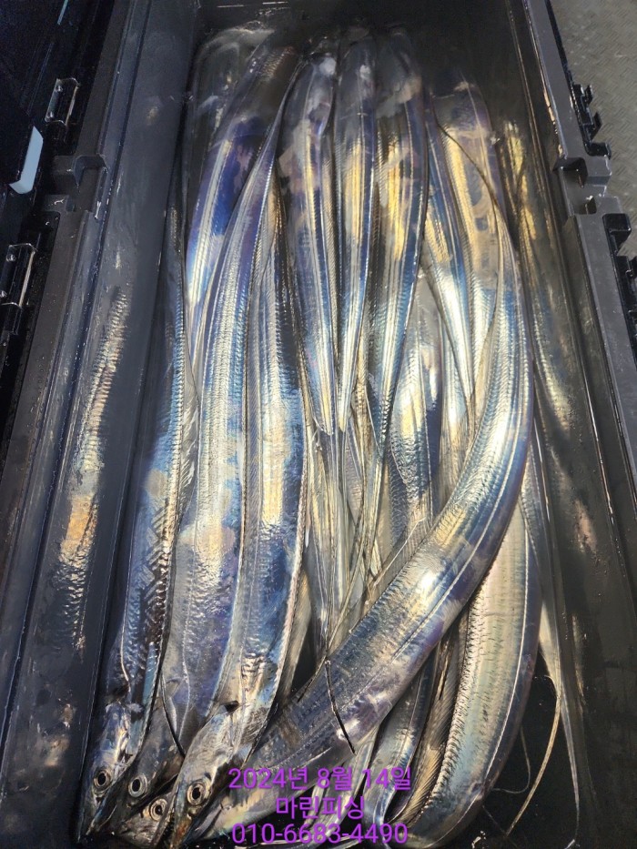 040d97cd4b9bf8be73574c894bcaec88_1723594089_3091.jpg 040d97cd4b9bf8be73574c894bcaec88_1723594089_3091.jpg