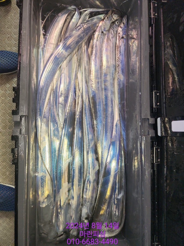 040d97cd4b9bf8be73574c894bcaec88_1723594090_7799.jpg 040d97cd4b9bf8be73574c894bcaec88_1723594090_7799.jpg