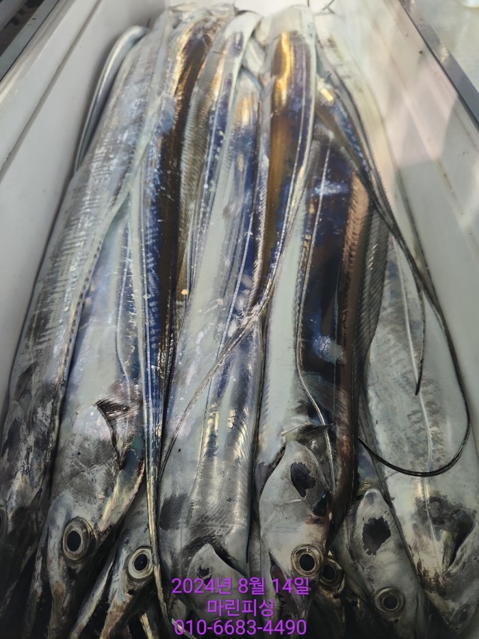 040d97cd4b9bf8be73574c894bcaec88_1723594091_8397.jpg 040d97cd4b9bf8be73574c894bcaec88_1723594091_8397.jpg