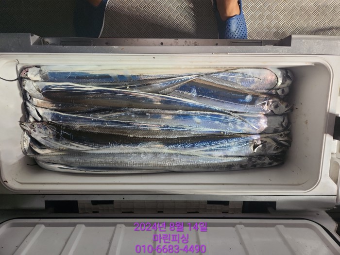 040d97cd4b9bf8be73574c894bcaec88_1723594092_9628.jpg 040d97cd4b9bf8be73574c894bcaec88_1723594092_9628.jpg