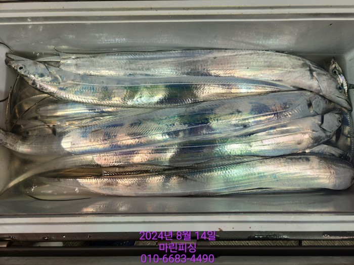 040d97cd4b9bf8be73574c894bcaec88_1723594094_0635.jpg 040d97cd4b9bf8be73574c894bcaec88_1723594094_0635.jpg